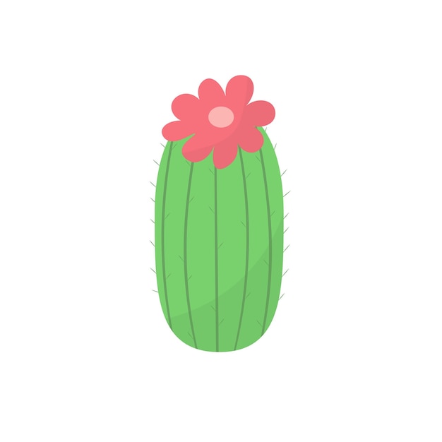 Cute cactus or succulent with flowers vector cartoon illustration in flat style