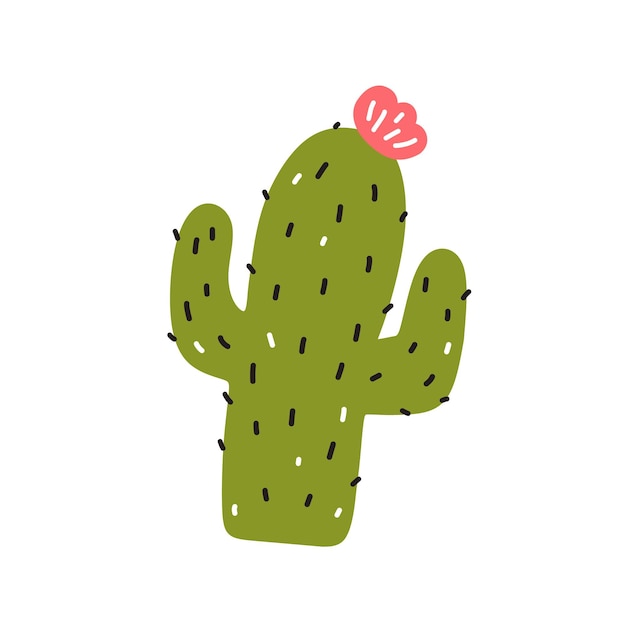 Cute cactus with a flower isolated on white background botanical clipart in hand drawn flat style