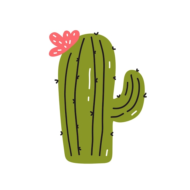 Cute cactus with a flower isolated on white background hand drawn flat illustration