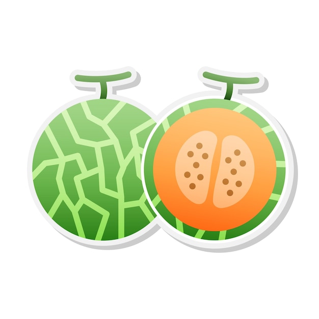 Cute cantaloup sticker vector illustration