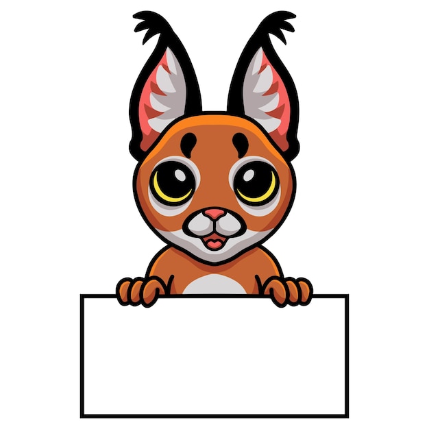 Cute caracal cat cartoon holding blank sign