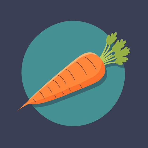 Vector cute carrot cartoon vector illustration