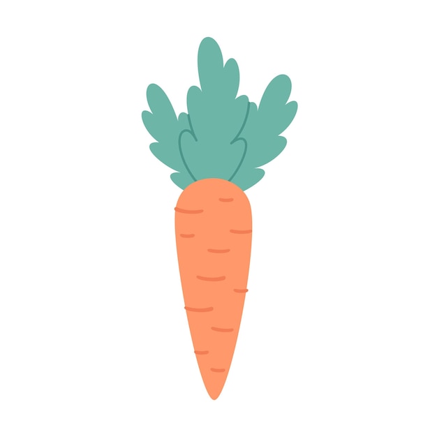 Cute carrot root vegetables hand drawn vector illustration