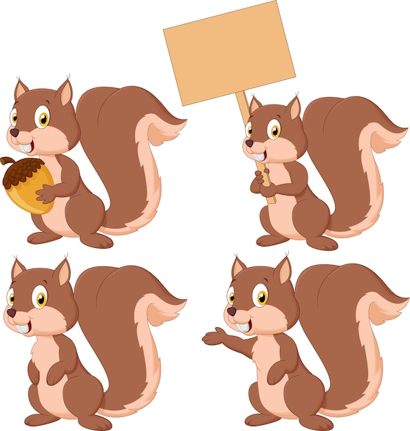 Cute carton squirrel collection set