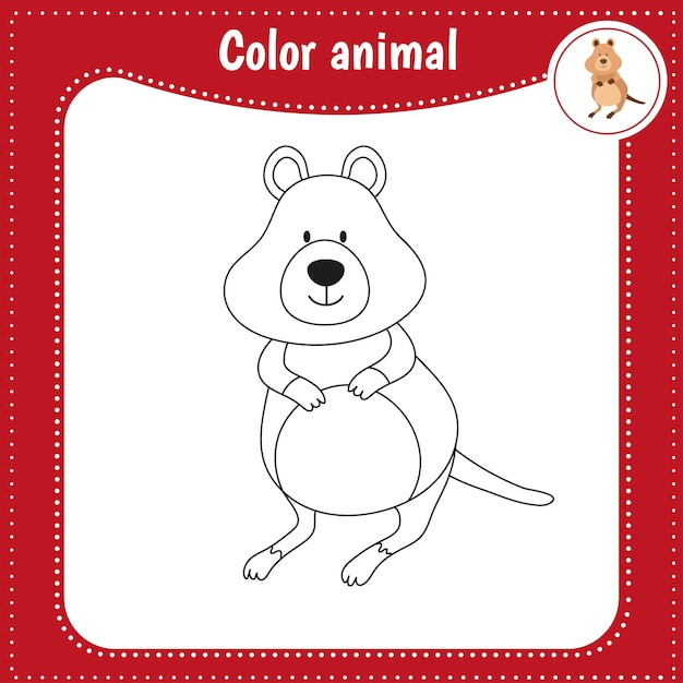 Simpatico cartone animato animale da colorare per bambini gioco educativo per bambini illustrazione vettoriale colore quokka