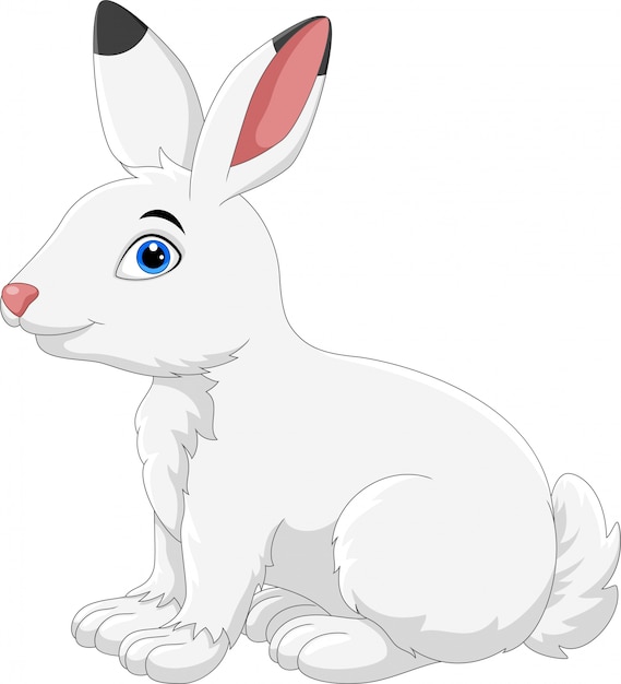 Cute cartoon arctic hare