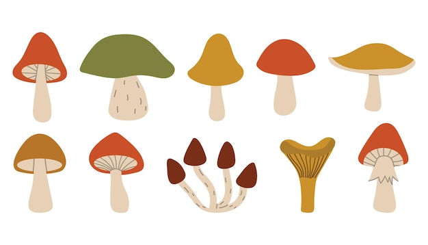 Cute cartoon autumn mushrooms collection Fall forest mushrooms harvest in simple flat style
