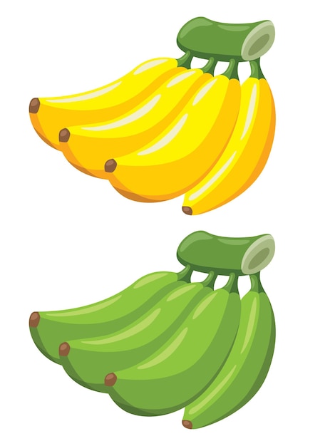 Simpatico cartone animato banana frutta