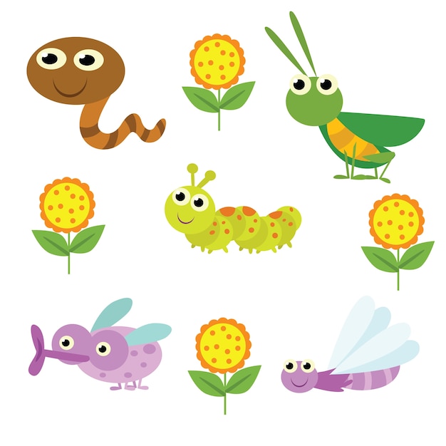 Vector cute cartoon bug and insect character