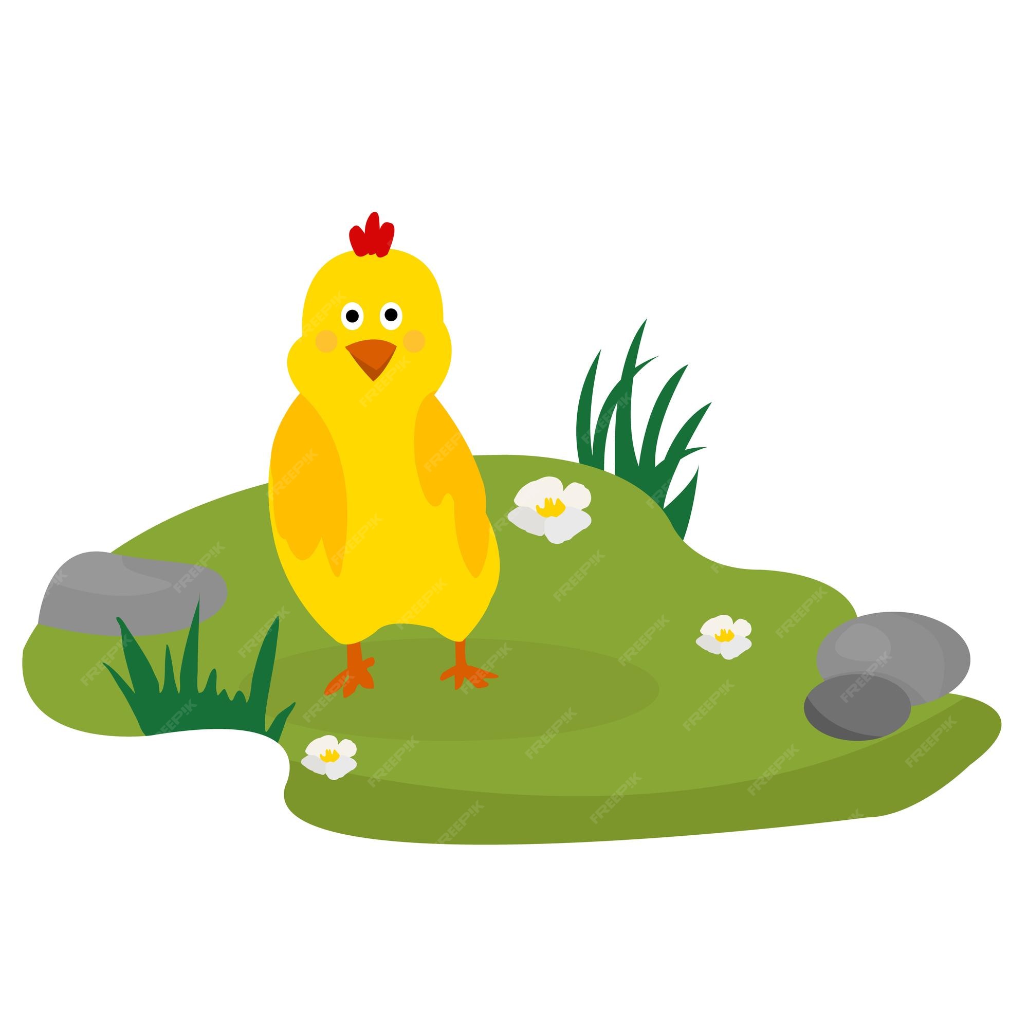 Premium Vector | Cute cartoon chicken funny yellow chickens on the grass vector illustration Premium Vector | Cute cartoon chicken funny yellow chickens on the grass vector illustration