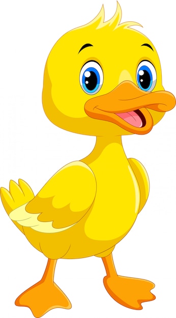 Vector cute cartoon duck