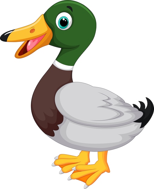 Cute cartoon duck