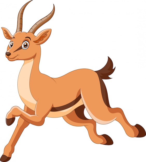 A cute cartoon gazelle stands