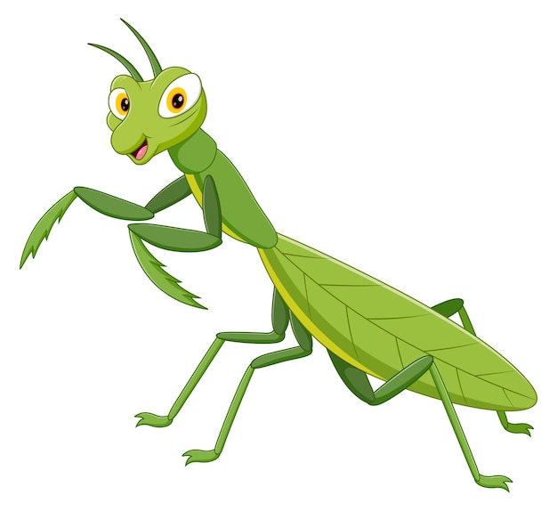 Vector cute cartoon green mantis vector illustration