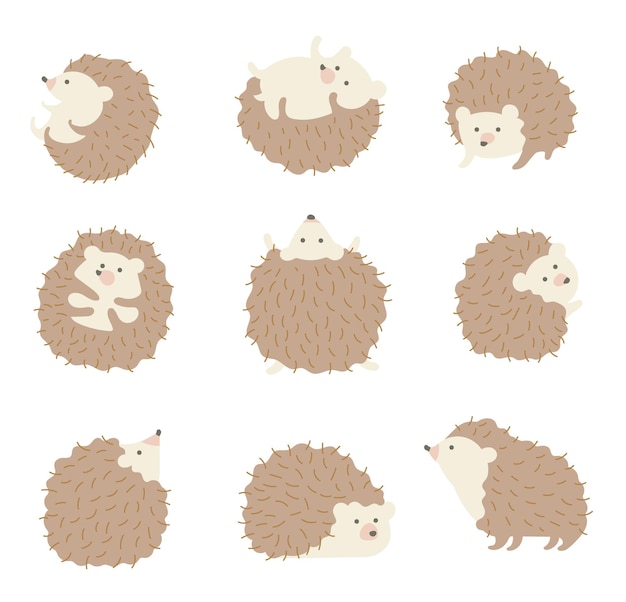 Vector cute cartoon hedgehogs in various poses vector set forest animal