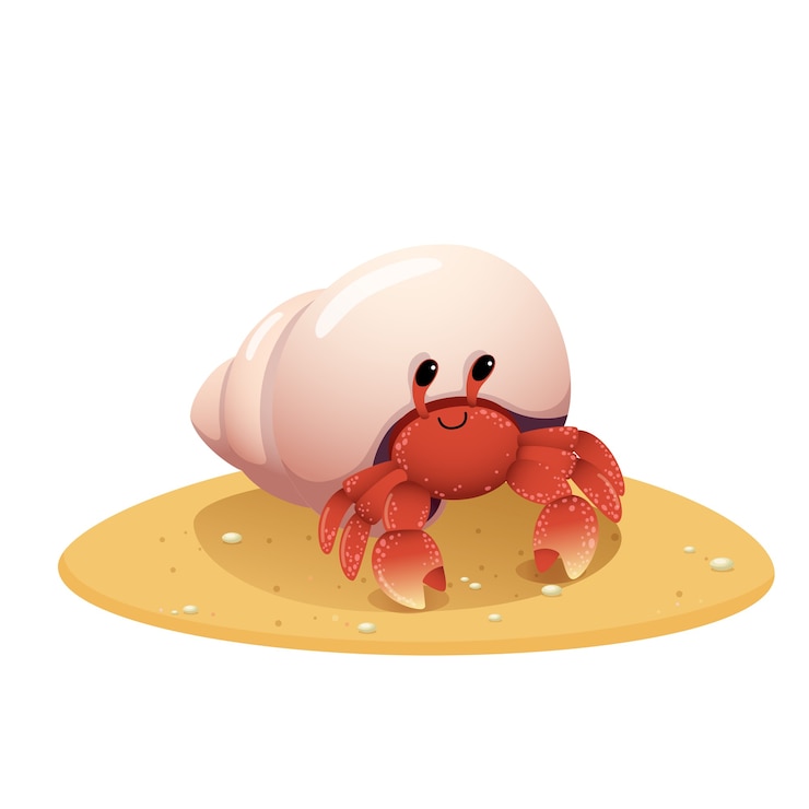 Vector cute cartoon hermit crab crawling on the beach on white background.