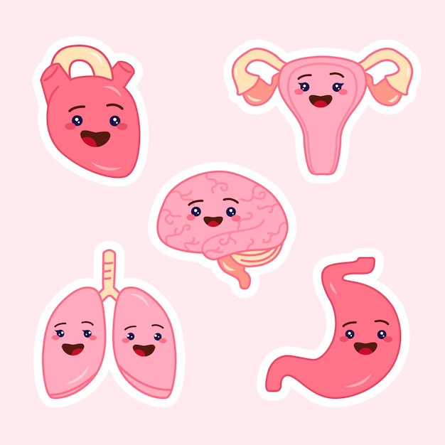 Cute cartoon human organ sitckers