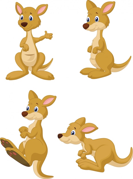 Vector cute cartoon kangaroo collection set