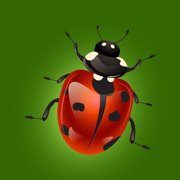 Cute cartoon ladybug vector illustration