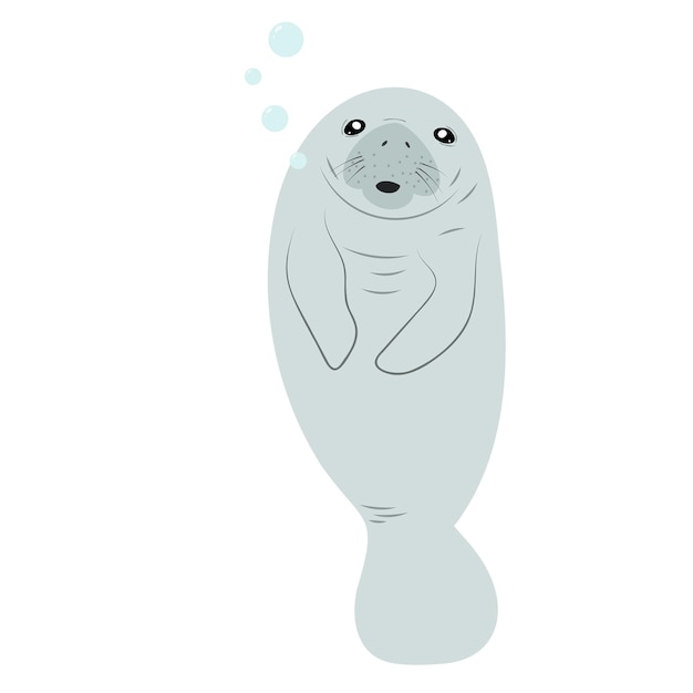 Cute cartoon manatee isolated on white background