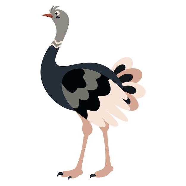 Cute cartoon ostrich bird Flat vector illustration