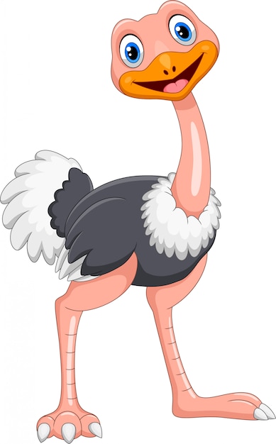 Vector cute cartoon ostrich