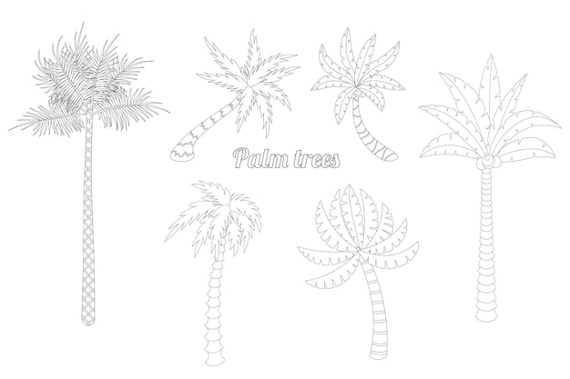 Cute cartoon palm set for coloring book for adults isolated on white background. Exotic trees