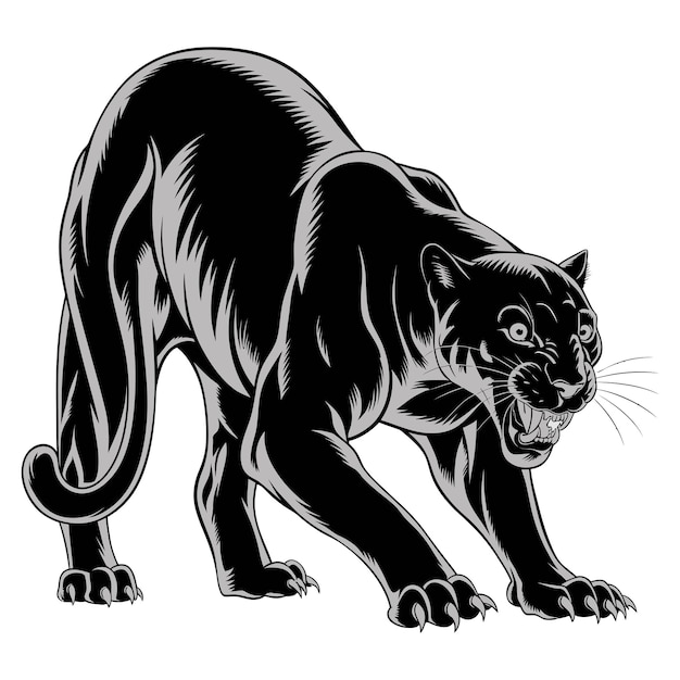 Cute cartoon panther isolated on white background