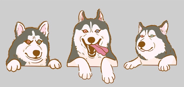 Cute cartoon peeking siberian husky dog set