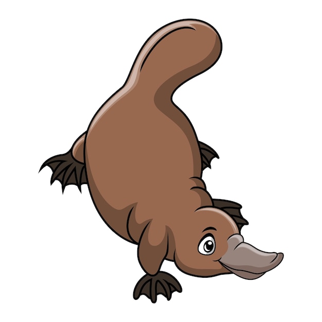 Vector cute cartoon platypus on white background