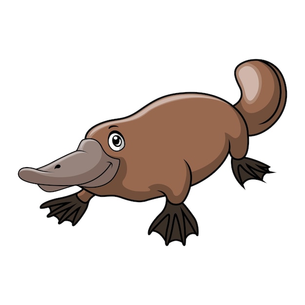 Cute cartoon platypus on white background