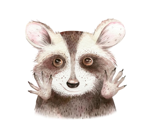 Cute cartoon raccoon animal watercolor portrait