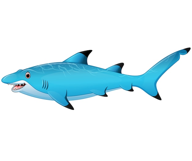 Cute cartoon shark