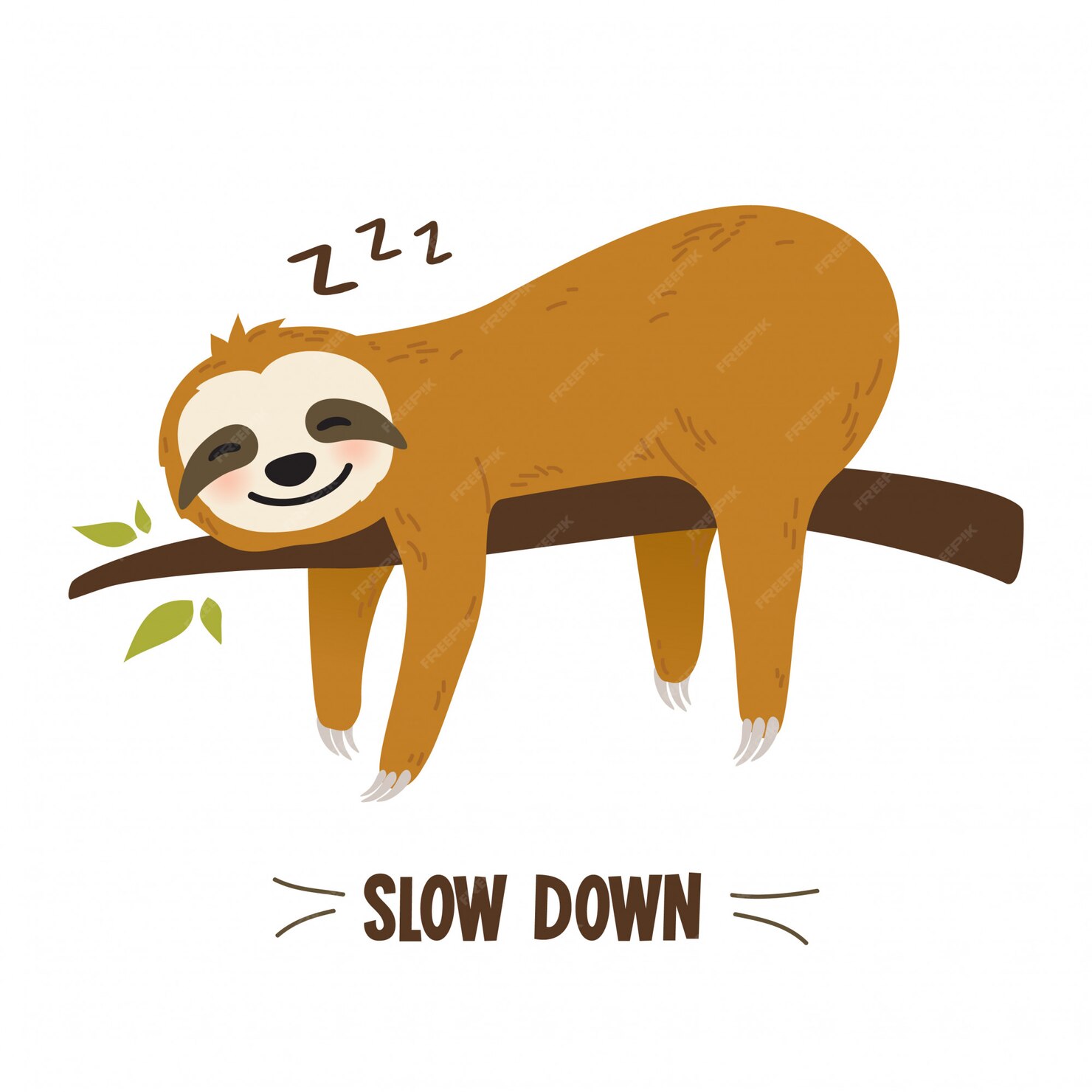 Slouth vector