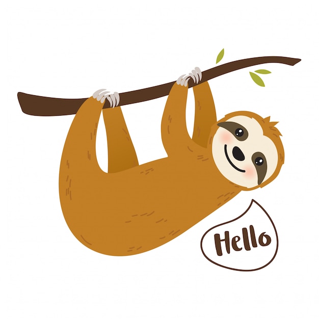 Cute cartoon sloth graphic