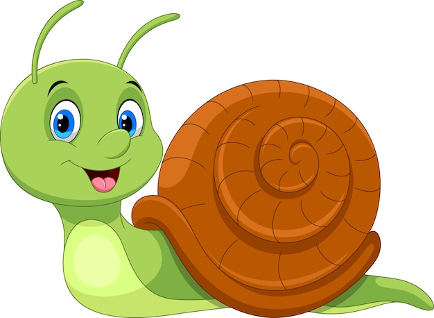 Cute cartoon snail