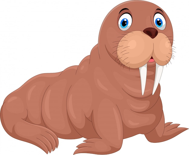 Cute cartoon walrus