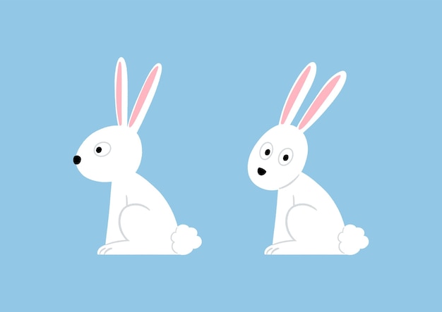 Cute cartoon white rabbits character vector illustration