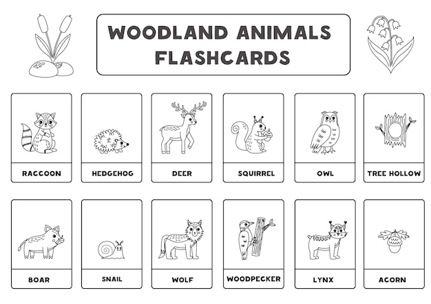 Simpatici animali del bosco dei cartoni animati con nomi flashcard in bianco e nero