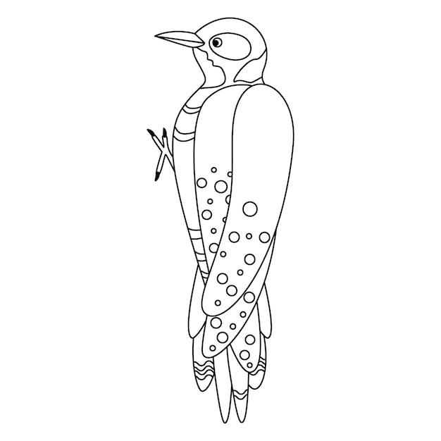 Cute cartoon woodpecker bird Line art