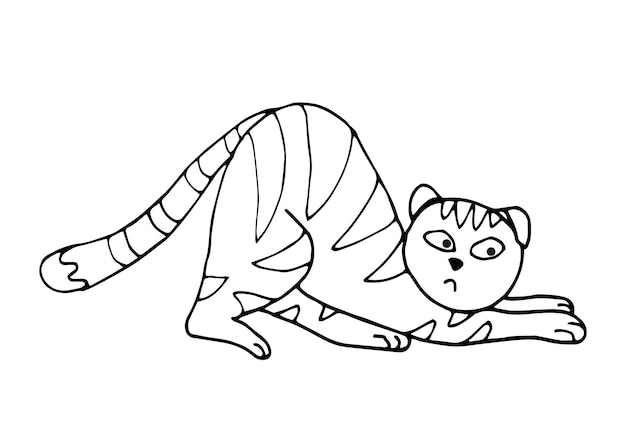 Vector cute cat beautiful stretches on the floor