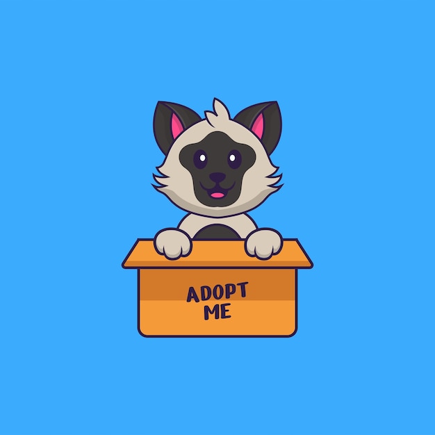 Cute cat in box with a poster Adopt me. Animal cartoon concept isolated.