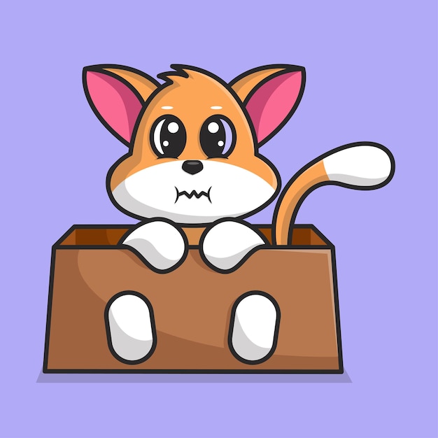 cute cat in the box