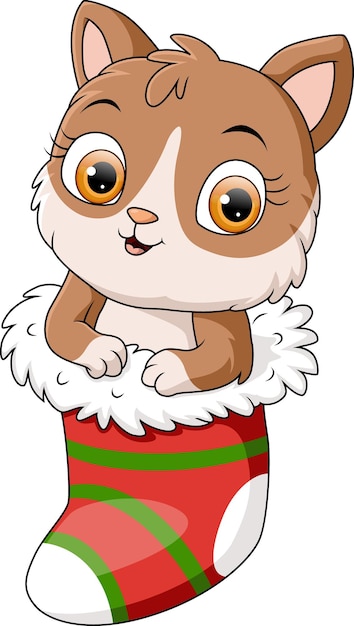 Cute cat cartoon in the sock christmas