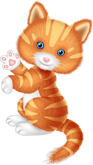 Vector cute cat cartoon