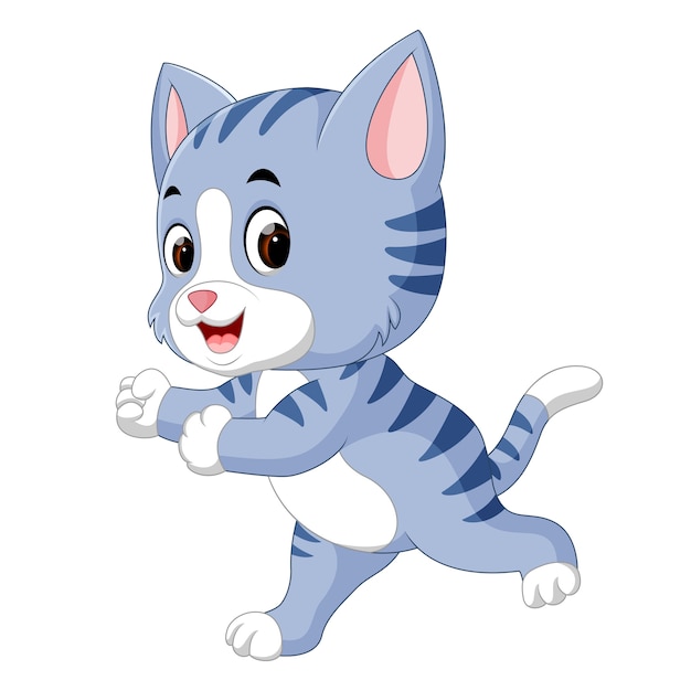 Cute cat cartoon