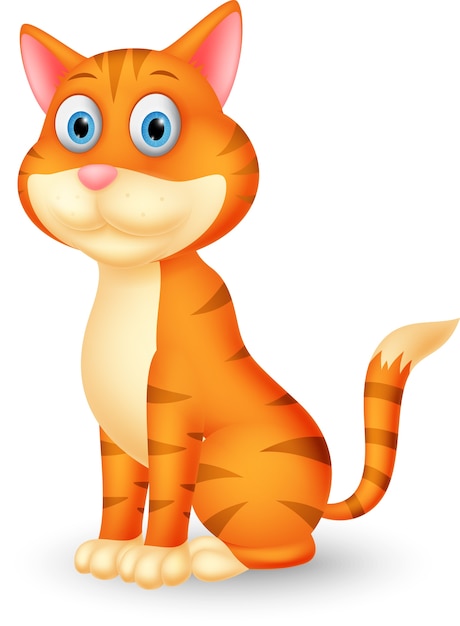 Cute cat cartoon