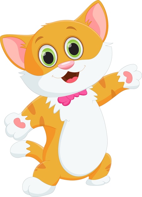 Vector cute cat cartoon