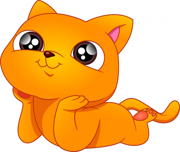 Vector cute cat cartoon