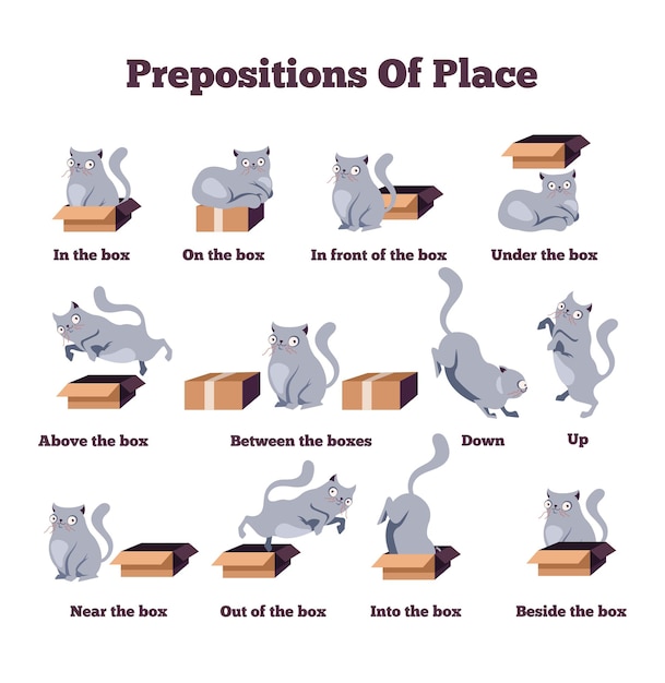 ベクトル ボックス付きのさまざまなポーズのかわいい猫のキャラクター場所の前置詞英語外国語の概念の研究